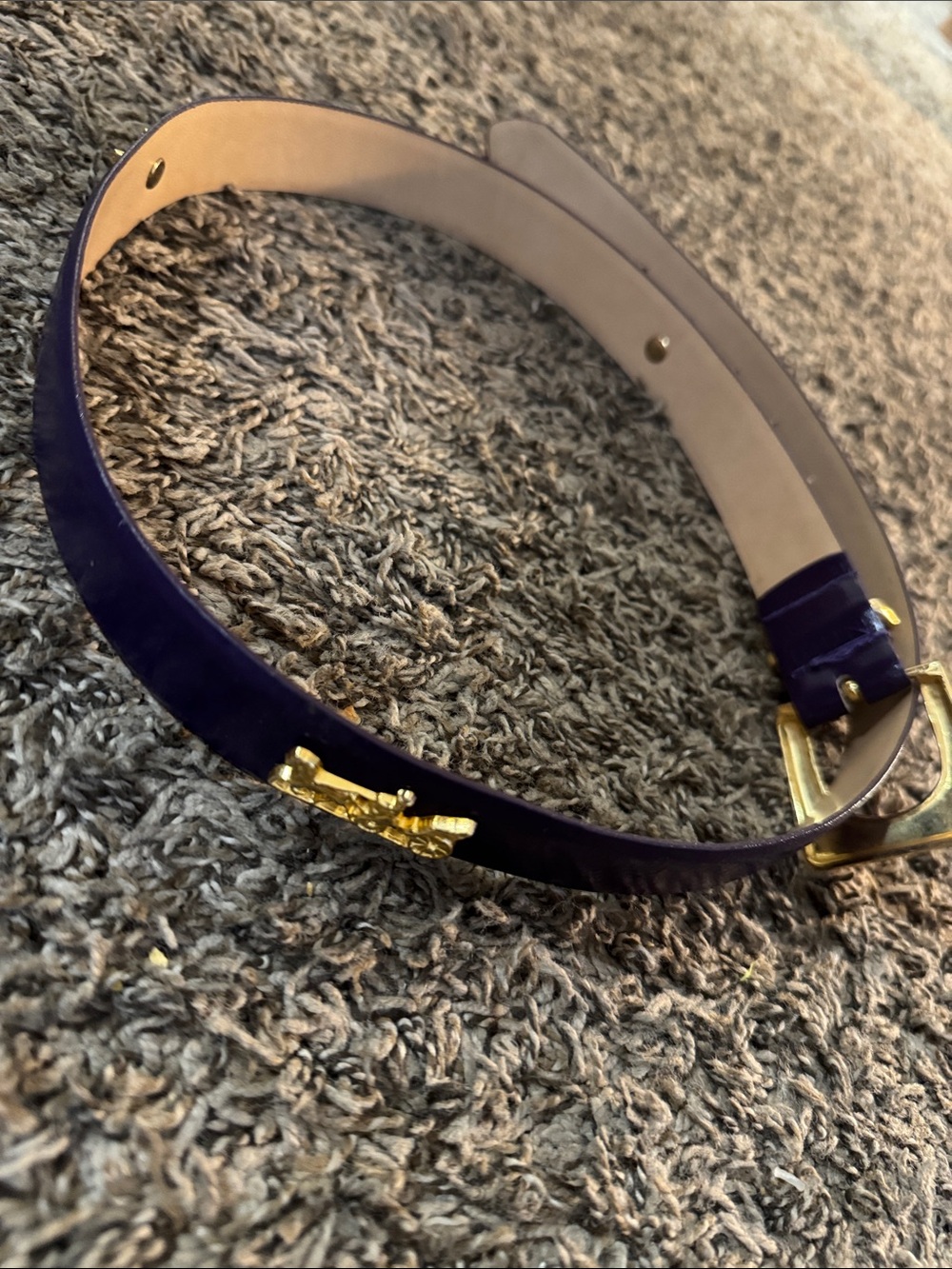 Coach belt